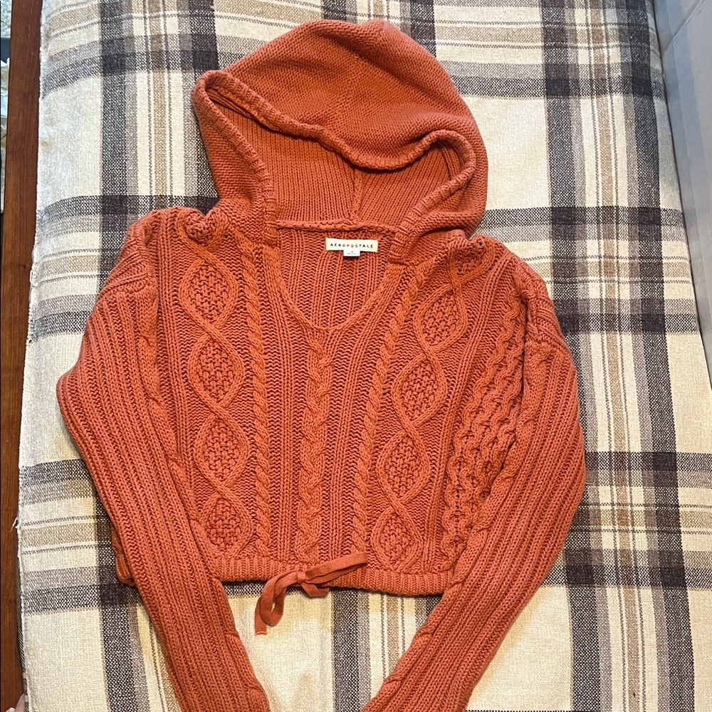 Aeropostale V-Neck Cable Knit Sweater - Rust